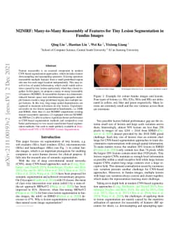 M2MRF: Many-to-Many Reassembly of Features for Tiny Lesion Segmentation
  in Fundus Images