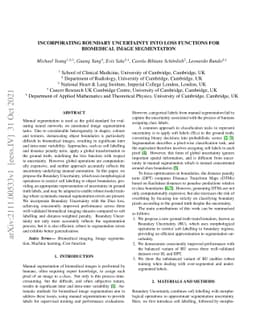 Incorporating Boundary Uncertainty into loss functions for biomedical
  image segmentation