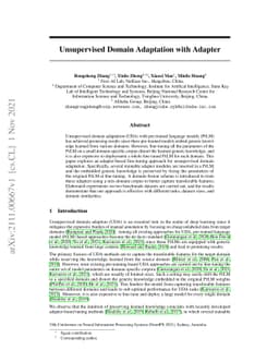 Unsupervised Domain Adaptation with Adapter