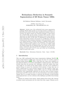 Redundancy Reduction in Semantic Segmentation of 3D Brain Tumor MRIs