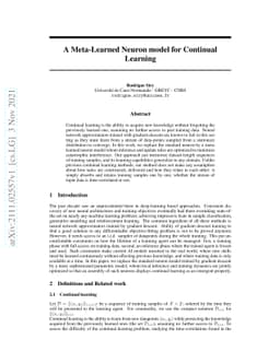 A Meta-Learned Neuron model for Continual Learning