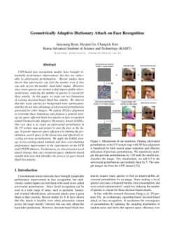 Geometrically Adaptive Dictionary Attack on Face Recognition