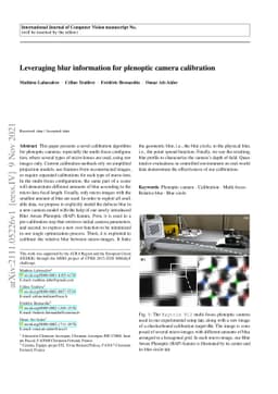 Leveraging blur information for plenoptic camera calibration