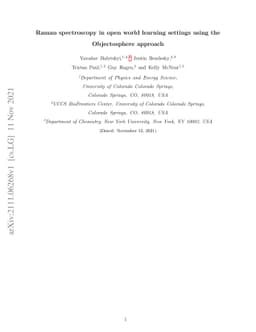 Raman spectroscopy in open world learning settings using the
  Objectosphere approach