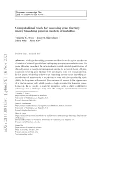 Computational tools for assessing gene therapy under branching process
  models of mutation