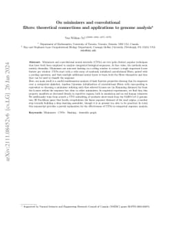 On minimizers and convolutional filters: theoretical connections and
  applications to genome analysis