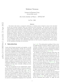 Multiset Neurons