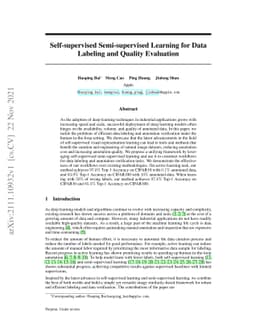 Self-supervised Semi-supervised Learning for Data Labeling and Quality
  Evaluation