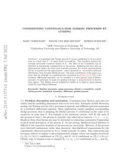 Conditioning continuous-time Markov processes by guiding