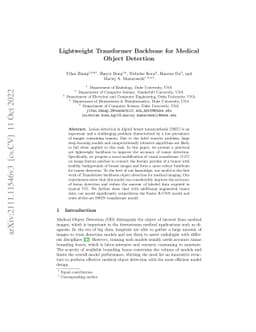 Lightweight Transformer Backbone for Medical Object Detection