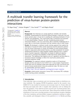 A multitask transfer learning framework for the prediction of
  virus-human protein-protein interactions