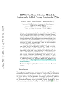 TDAM: Top-Down Attention Module for Contextually Guided Feature
  Selection in CNNs