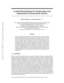 Localized Perturbations For Weakly-Supervised Segmentation of Glioma
  Brain Tumours