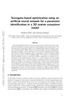Surrogate-based optimization using an artificial neural network for a
  parameter identification in a 3D marine ecosystem model