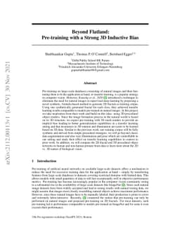 Beyond Flatland: Pre-training with a Strong 3D Inductive Bias