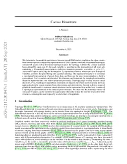 Causal Homotopy