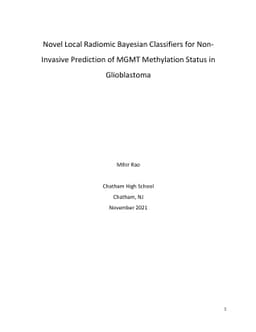 Novel Local Radiomic Bayesian Classifiers for Non-Invasive Prediction of
  MGMT Methylation Status in Glioblastoma