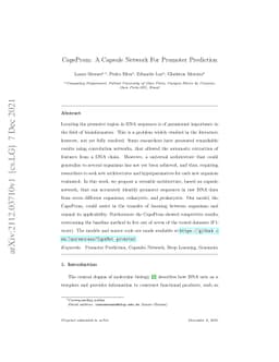CapsProm: A Capsule Network For Promoter Prediction