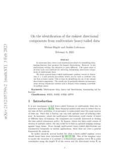 On the identification of the riskiest directional components from
  multivariate heavy-tailed data