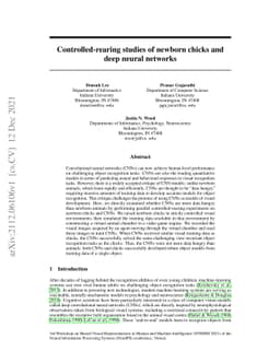 Controlled-rearing studies of newborn chicks and deep neural networks