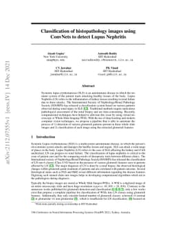 Classification of histopathology images using ConvNets to detect Lupus
  Nephritis