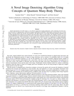 A Novel Image Denoising Algorithm Using Concepts of Quantum Many-Body
  Theory