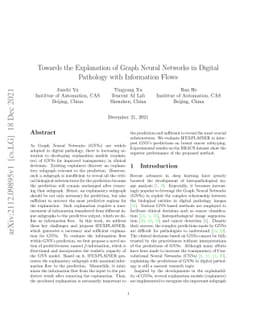 Towards the Explanation of Graph Neural Networks in Digital Pathology
  with Information Flows
