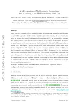 AcME -- Accelerated Model-agnostic Explanations: Fast Whitening of the
  Machine-Learning Black Box