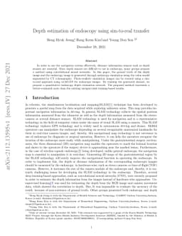 Depth estimation of endoscopy using sim-to-real transfer