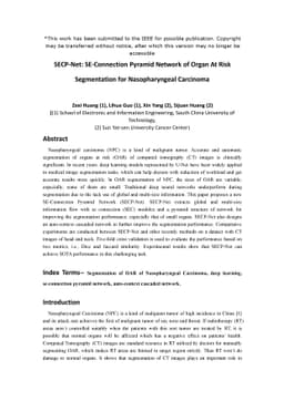 SECP-Net: SE-Connection Pyramid Network of Organ At Risk Segmentation
  for Nasopharyngeal Carcinoma