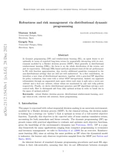 Robustness and risk management via distributional dynamic programming