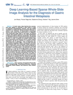 Deep Learning-Based Sparse Whole-Slide Image Analysis for the Diagnosis
  of Gastric Intestinal Metaplasia