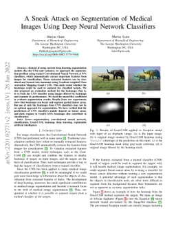 A Sneak Attack on Segmentation of Medical Images Using Deep Neural
  Network Classifiers