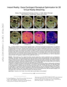 Instant Reality: Gaze-Contingent Perceptual Optimization for 3D Virtual
  Reality Streaming