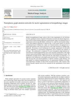 Neuroplastic graph attention networks for nuclei segmentation in
  histopathology images