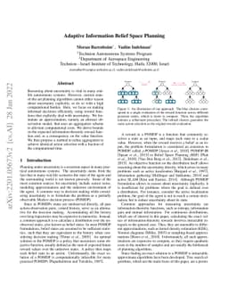 Adaptive Information Belief Space Planning