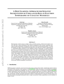 A Deep Learning Approach for Semantic Segmentation of Unbalanced Data in
  Electron Tomography of Catalytic Materials