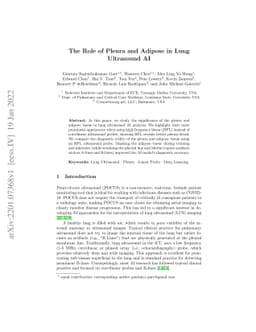 The Role of Pleura and Adipose in Lung Ultrasound AI