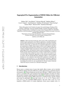 Superpixel Pre-Segmentation of HER2 Slides for Efficient Annotation