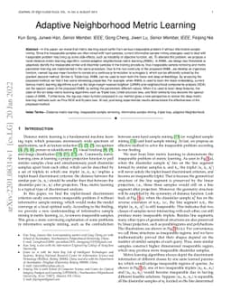 Adaptive neighborhood Metric learning