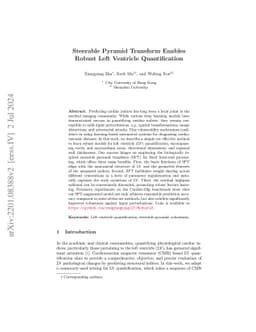 Steerable Pyramid Transform Enables Robust Left Ventricle Quantification