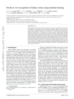On the in vivo recognition of kidney stones using machine learning