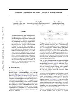Neuronal Correlation: a Central Concept in Neural Network