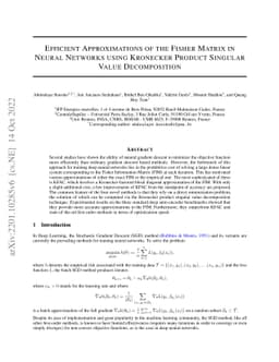 Efficient Approximations of the Fisher Matrix in Neural Networks using
  Kronecker Product Singular Value Decomposition