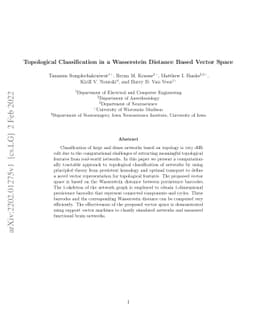 Topological Classification in a Wasserstein Distance Based Vector Space