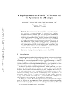A Topology-Attention ConvLSTM Network and Its Application to EM Images