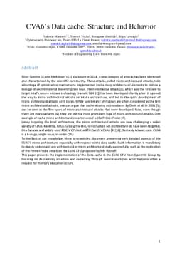 CVA6's Data cache: Structure and Behavior