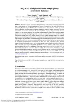BIQ2021: A Large-Scale Blind Image Quality Assessment Database
