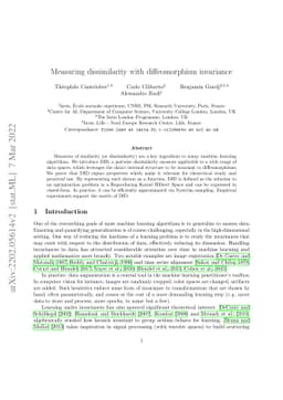 Measuring dissimilarity with diffeomorphism invariance