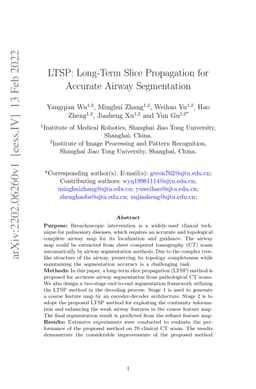LTSP: Long-Term Slice Propagation for Accurate Airway Segmentation